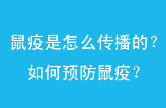 鼠疫是怎么傳播的？如何預(yù)防鼠疫？